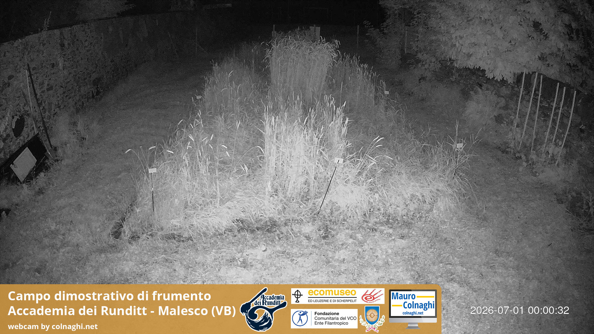 time-lapse frame, Grano webcam