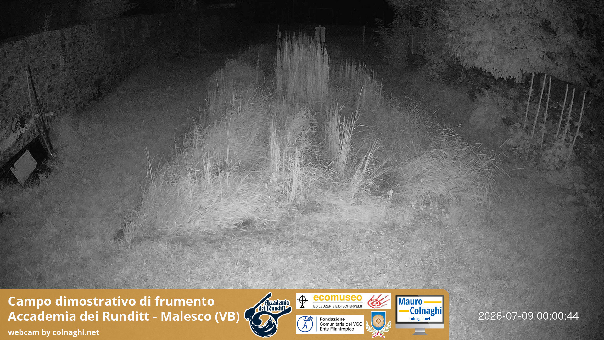 time-lapse frame, Grano webcam