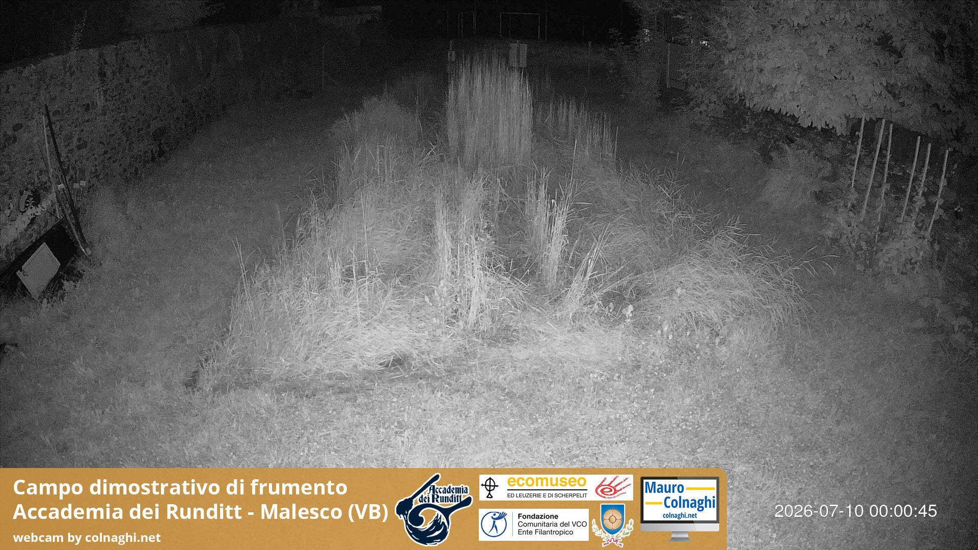 time-lapse frame, Grano webcam