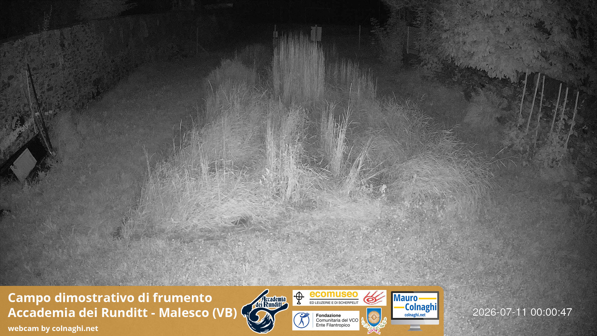 time-lapse frame, Grano webcam