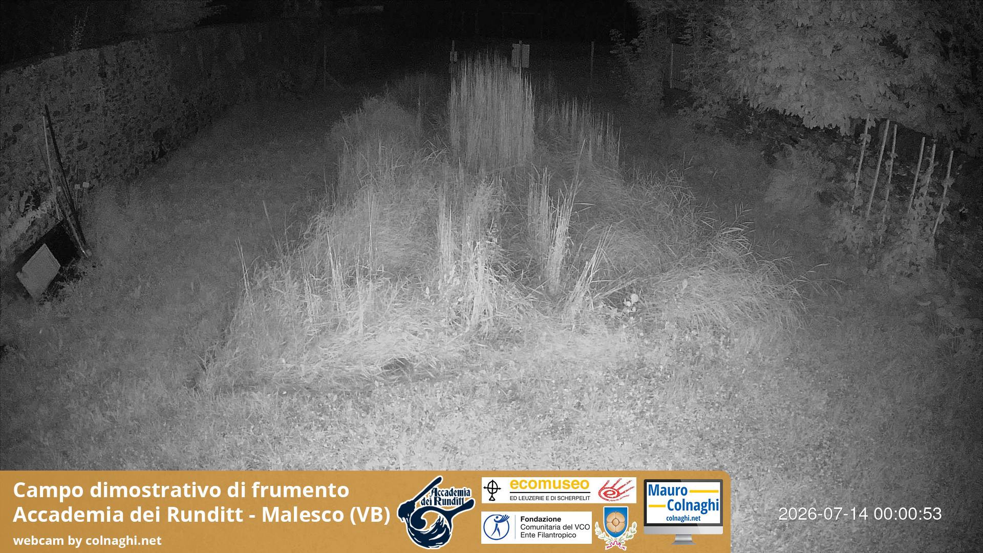 time-lapse frame, Grano webcam