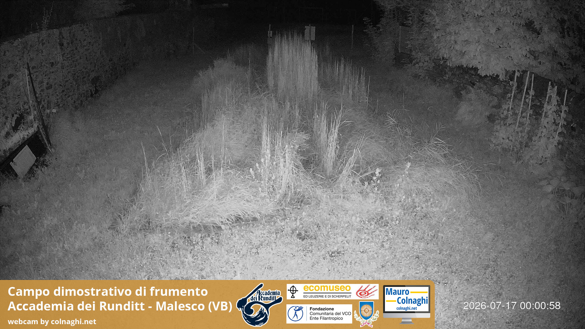 time-lapse frame, Grano webcam