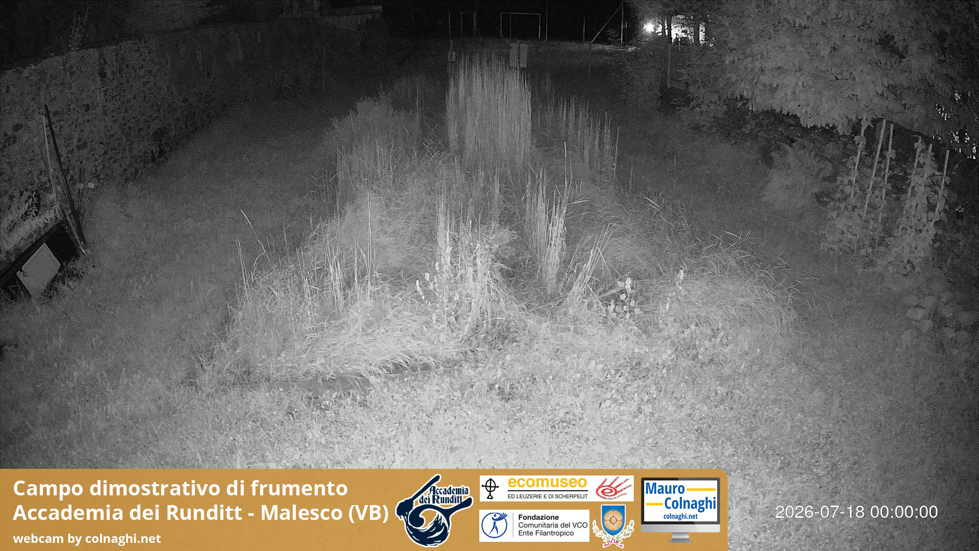 time-lapse frame, Grano webcam