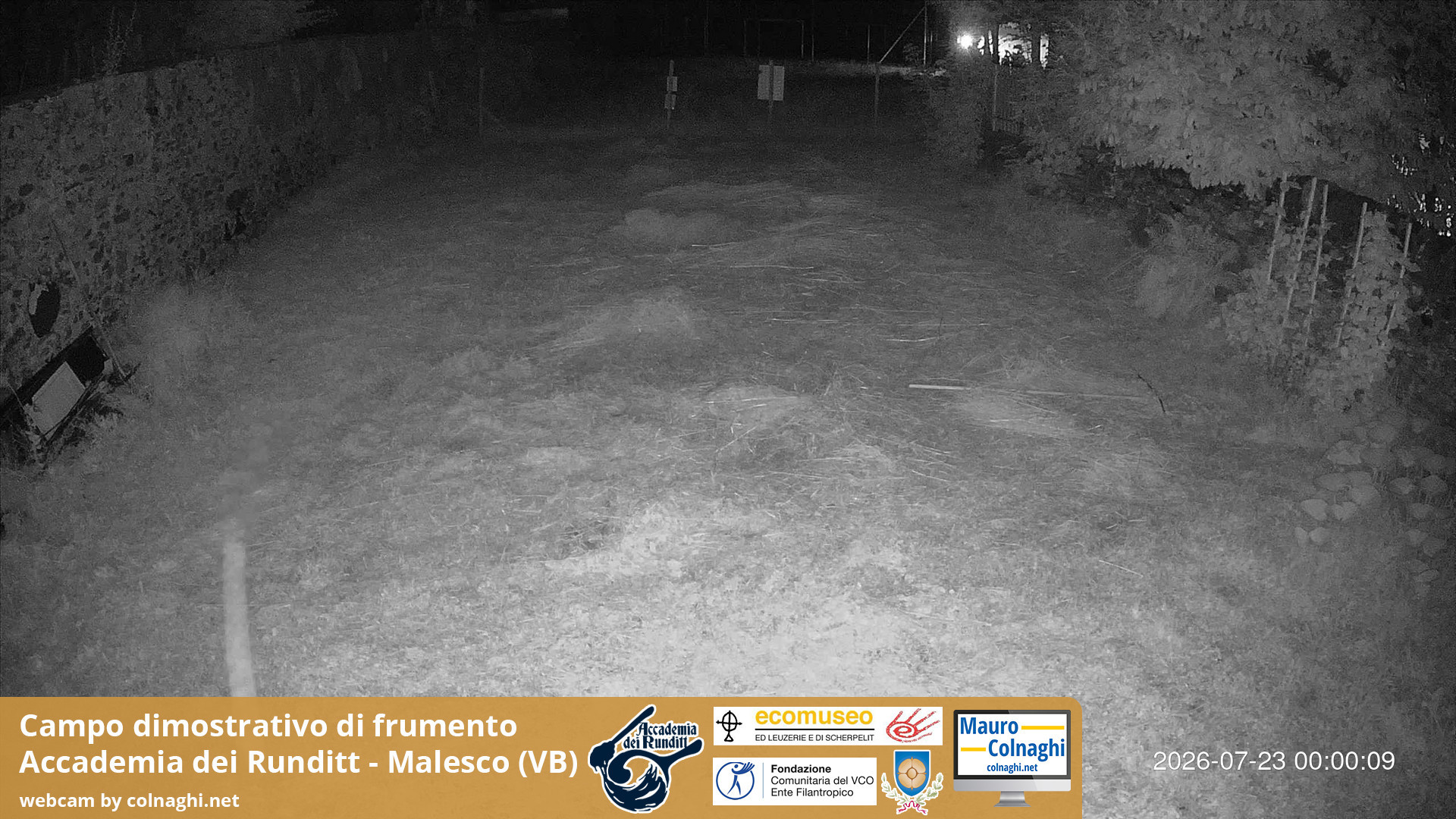 time-lapse frame, Grano webcam