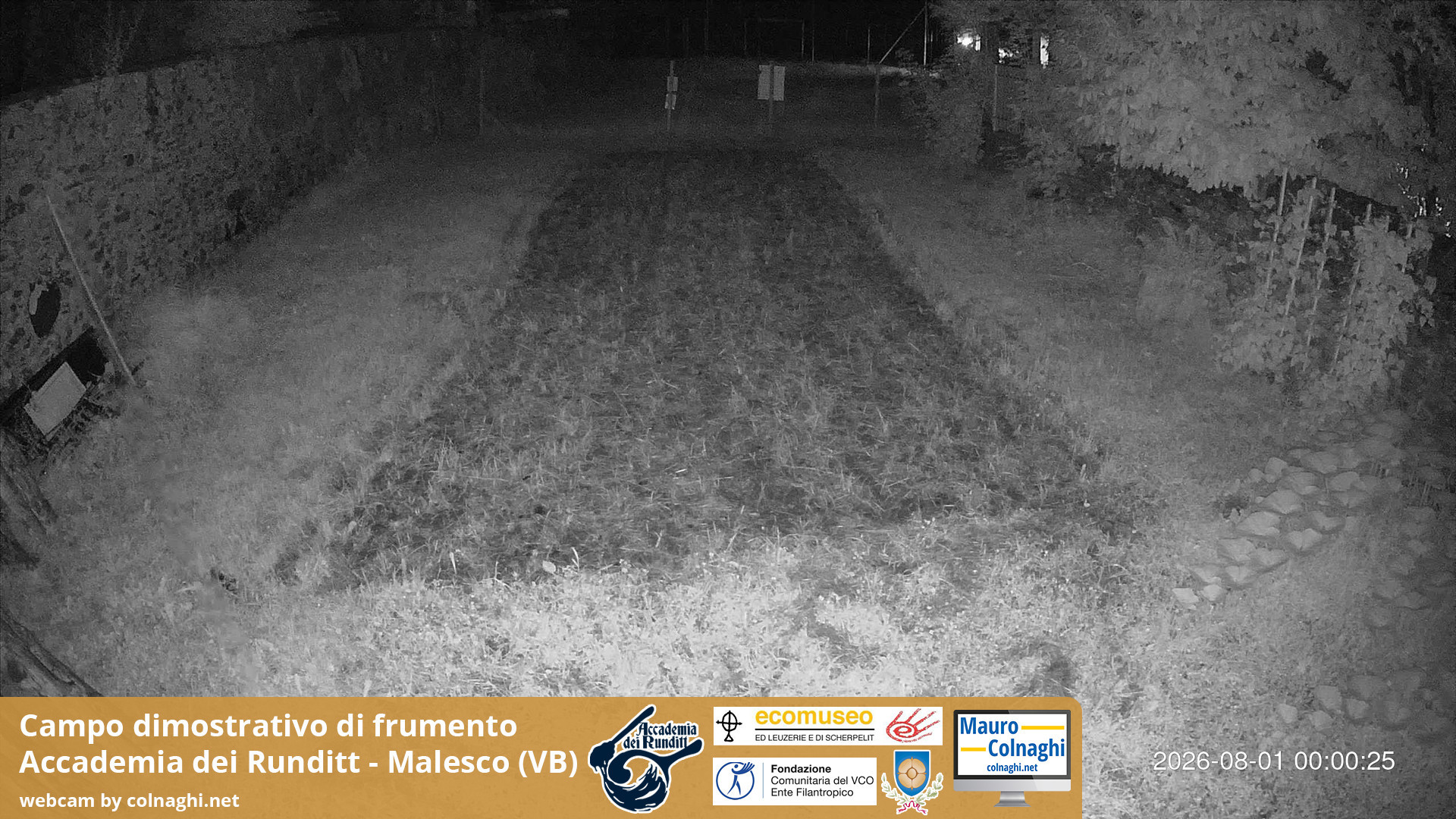 time-lapse frame, Grano webcam