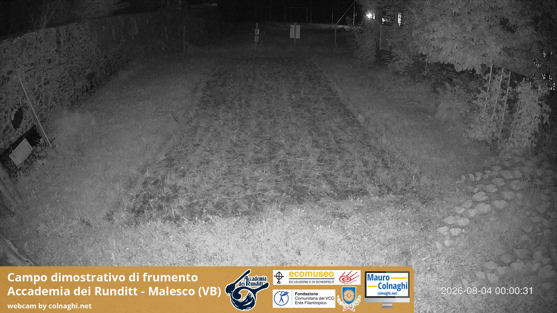 time-lapse frame, Grano webcam
