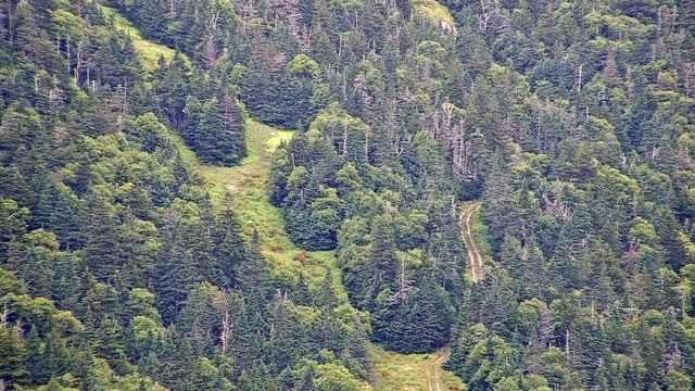 view from Sugarbush Gadd Peak Scenic on 2026-08-22