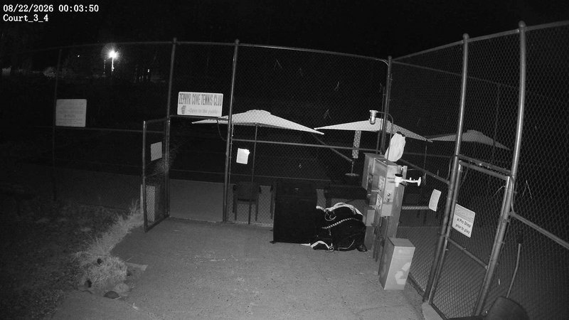 time-lapse frame, ZCTC cts 3 4 webcam