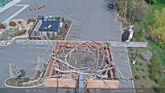 view from Sandpoint Online - Osprey Nest Time-lapse on 2026-04-20