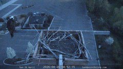 view from Sandpoint Online - Osprey Nest Time-lapse on 2026-04-26