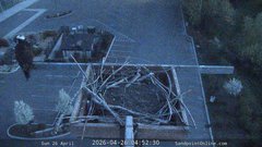 view from Sandpoint Online - Osprey Nest Time-lapse on 2026-04-26