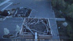 view from Sandpoint Online - Osprey Nest Time-lapse on 2026-04-26