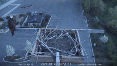 view from Sandpoint Online - Osprey Nest Time-lapse on 2026-04-26