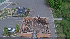 view from Sandpoint Online - Osprey Nest Time-lapse on 2026-05-08