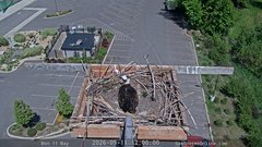 view from Sandpoint Online - Osprey Nest Time-lapse on 2026-05-11