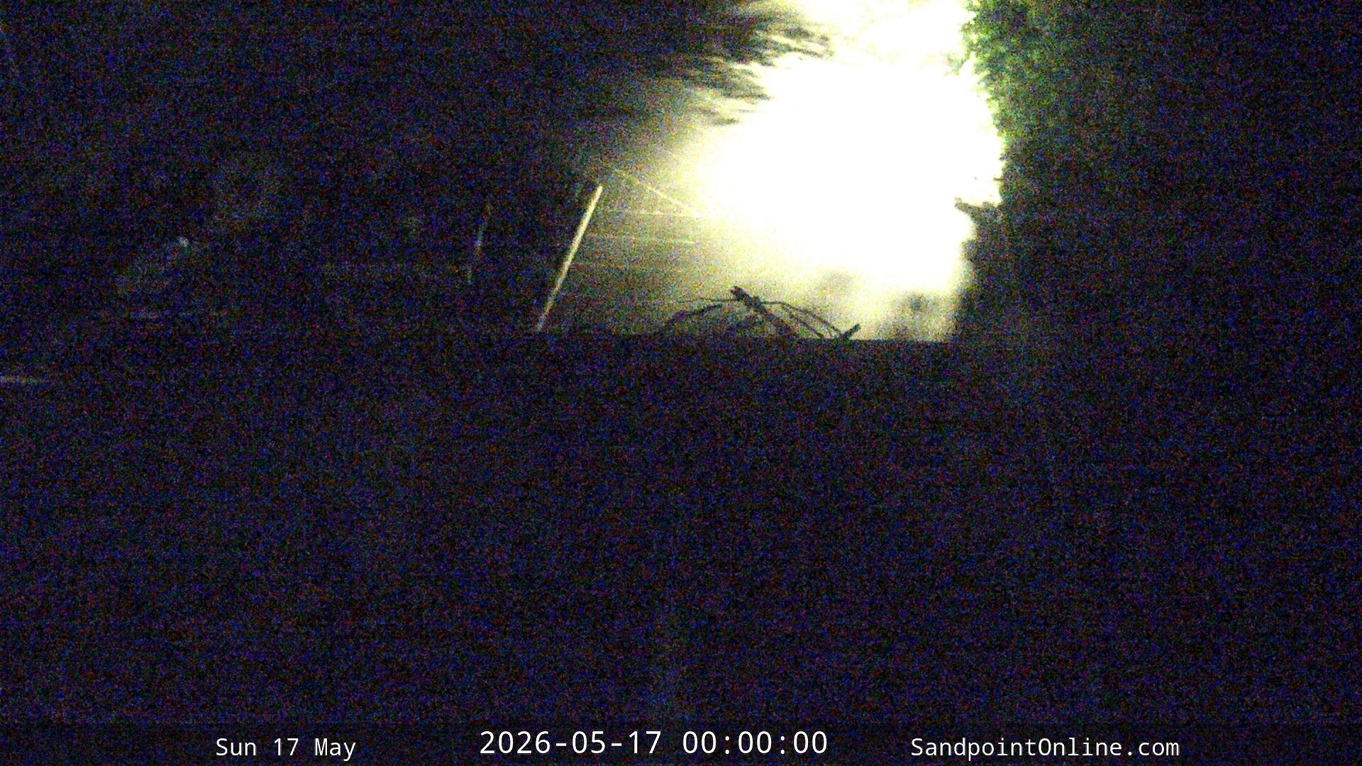 time-lapse frame, Sandpoint Online - Osprey Nest Time-lapse webcam