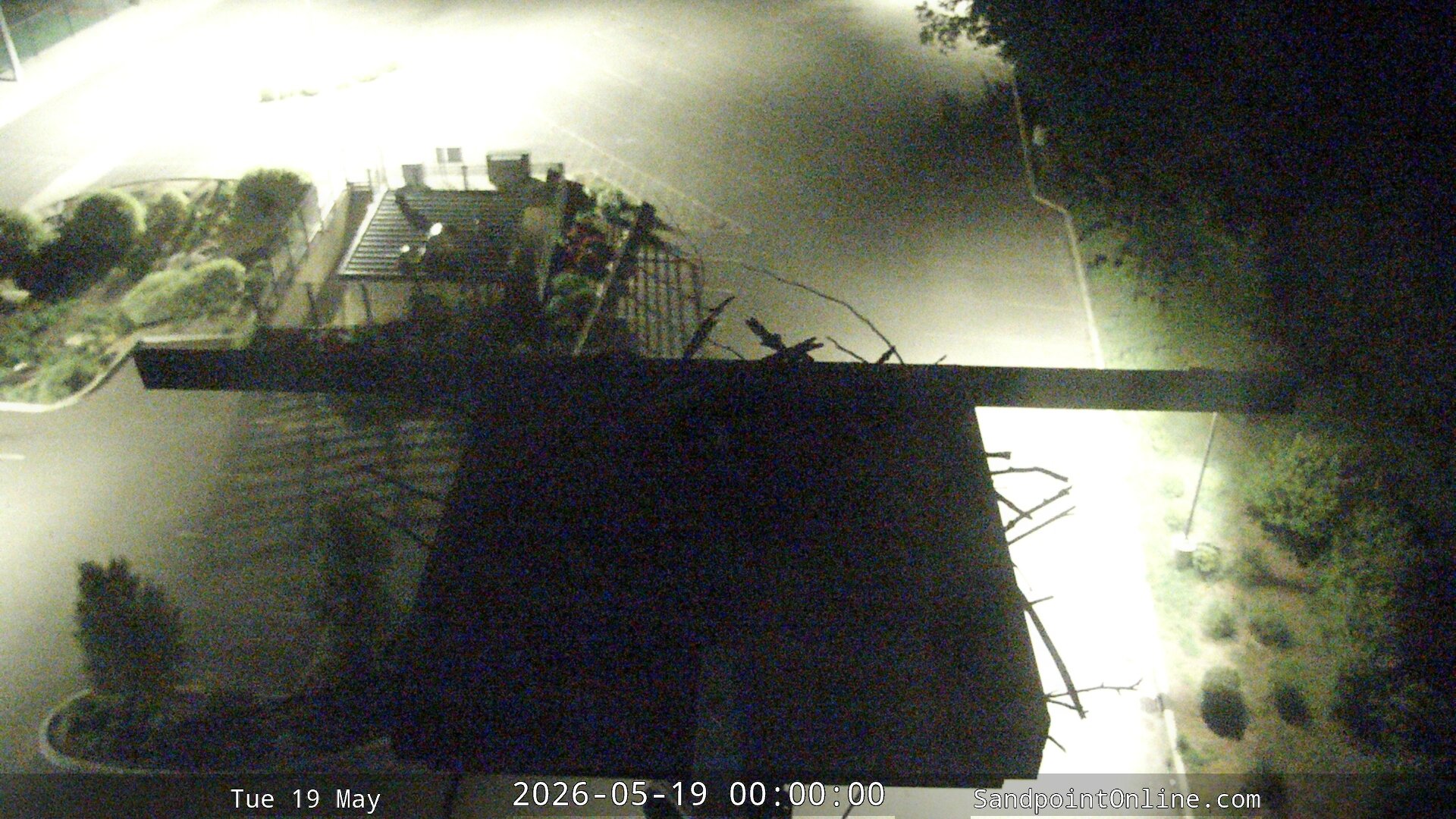 time-lapse frame, Sandpoint Online - Osprey Nest Time-lapse webcam
