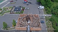 view from Sandpoint Online - Osprey Nest Time-lapse on 2026-05-22