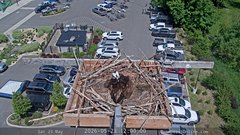 view from Sandpoint Online - Osprey Nest Time-lapse on 2026-05-23
