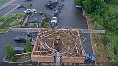 view from Sandpoint Online - Osprey Nest Time-lapse on 2026-06-01
