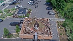 view from Sandpoint Online - Osprey Nest Time-lapse on 2026-06-02