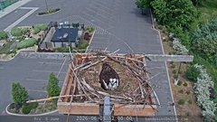 view from Sandpoint Online - Osprey Nest Time-lapse on 2026-06-05