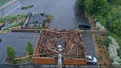 view from Sandpoint Online - Osprey Nest Time-lapse on 2026-06-09