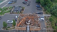 view from Sandpoint Online - Osprey Nest Time-lapse on 2026-06-28