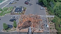 view from Sandpoint Online - Osprey Nest Time-lapse on 2026-07-02