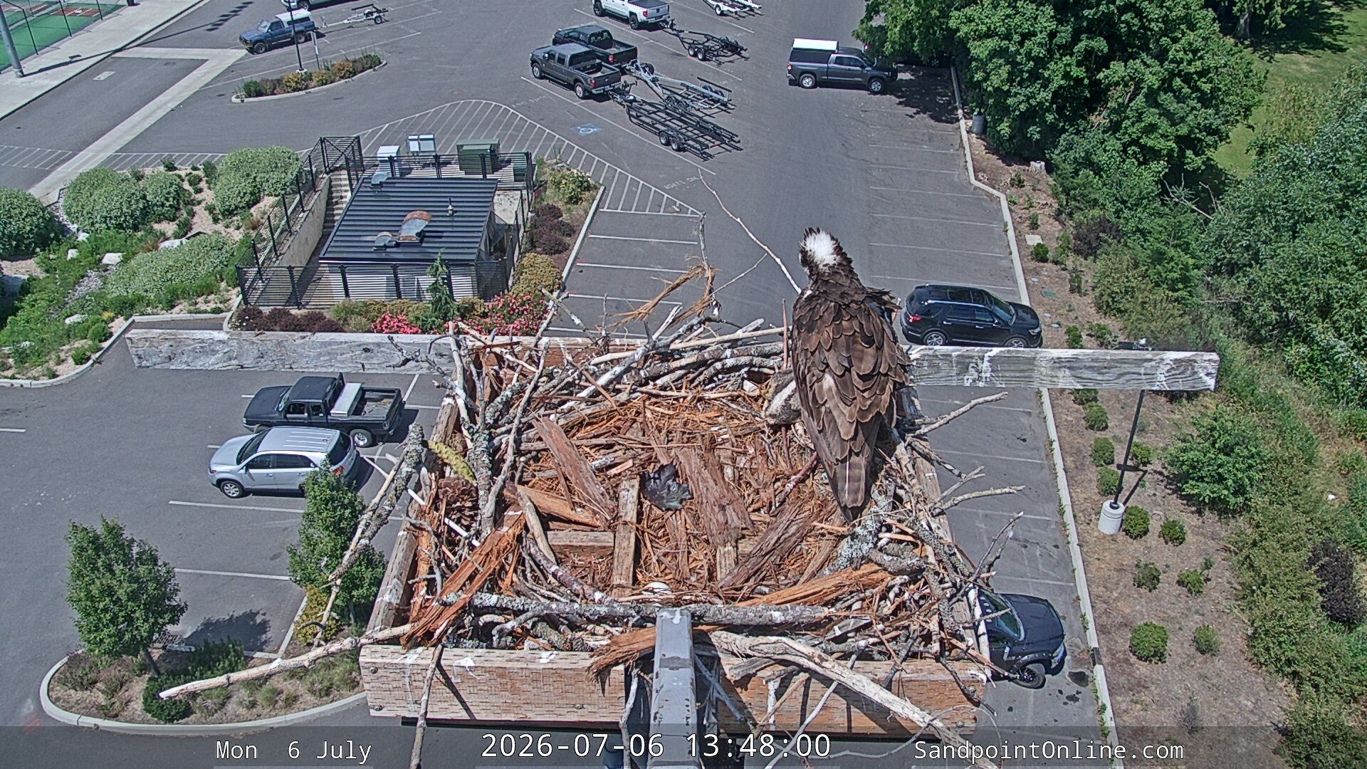 Sandpoint Online ... animated GIF