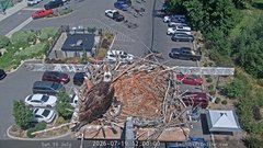 view from Sandpoint Online - Osprey Nest Time-lapse on 2026-07-19