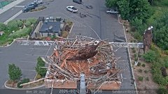 view from Sandpoint Online - Osprey Nest Time-lapse on 2026-07-20