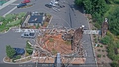 view from Sandpoint Online - Osprey Nest Time-lapse on 2026-07-21