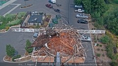 view from Sandpoint Online - Osprey Nest Time-lapse on 2026-08-07