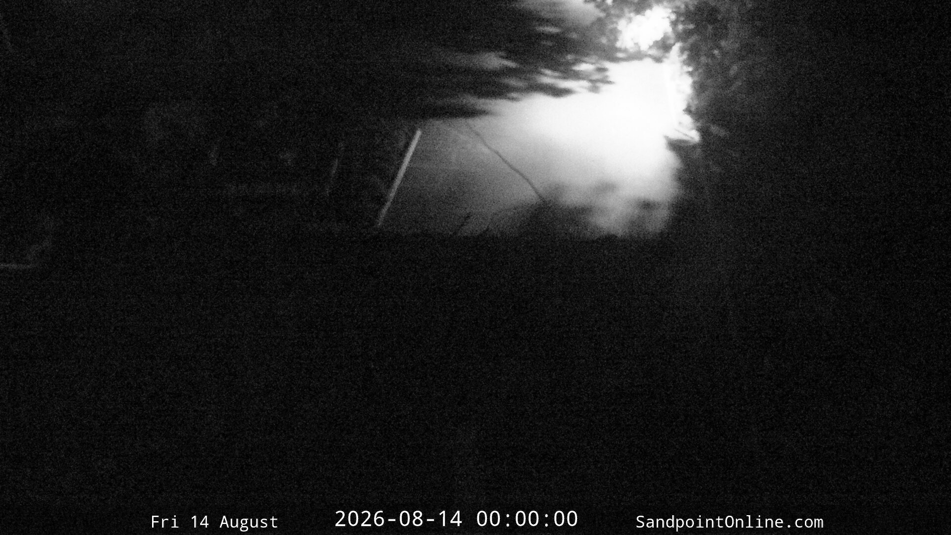 time-lapse frame, Sandpoint Online - Osprey Nest Time-lapse webcam