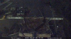 view from Sandpoint Online - Osprey Nest Time-lapse on 2026-08-27