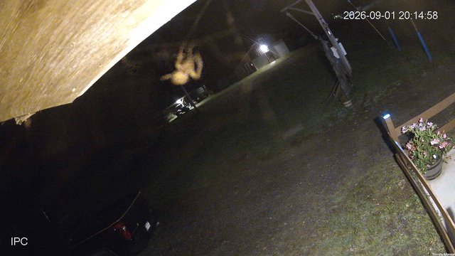 time-lapse frame, Thirsty Moose webcam