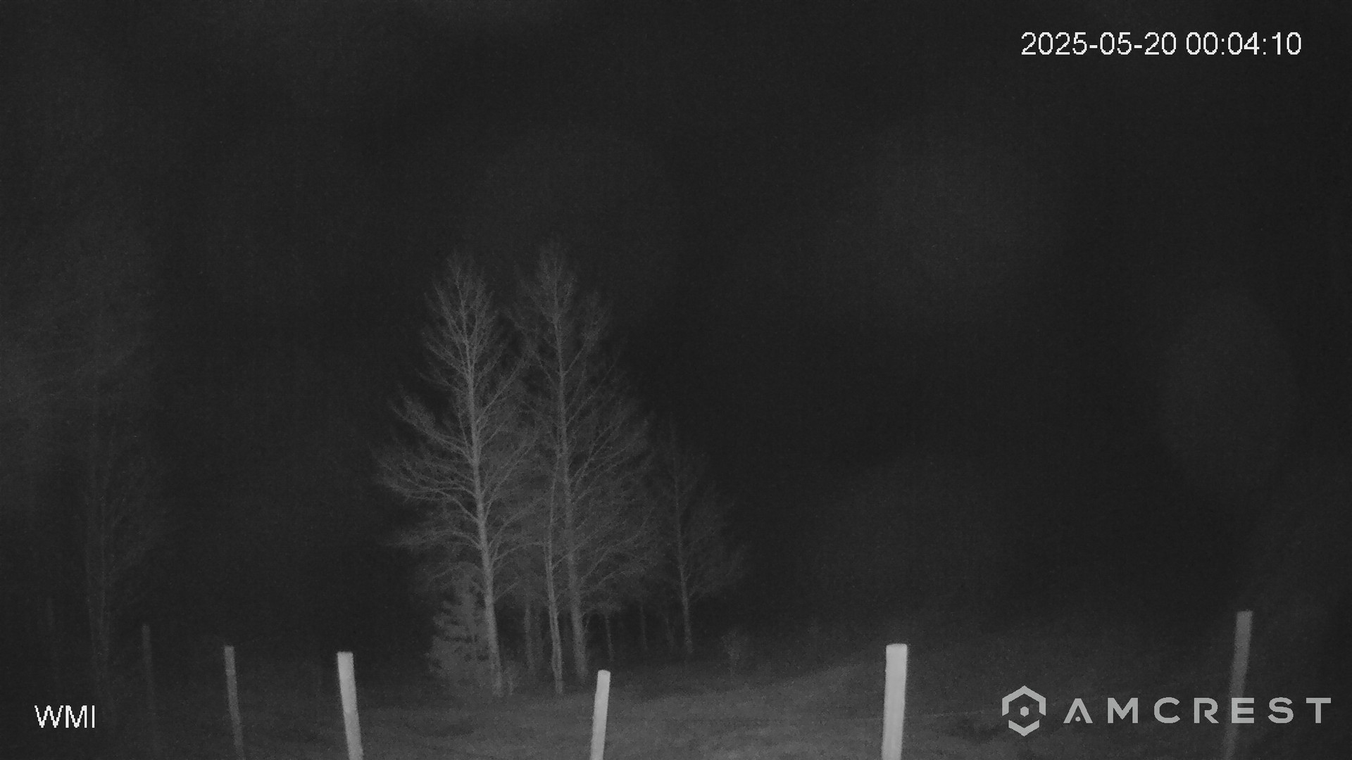 time-lapse frame, Never Summer Cam webcam
