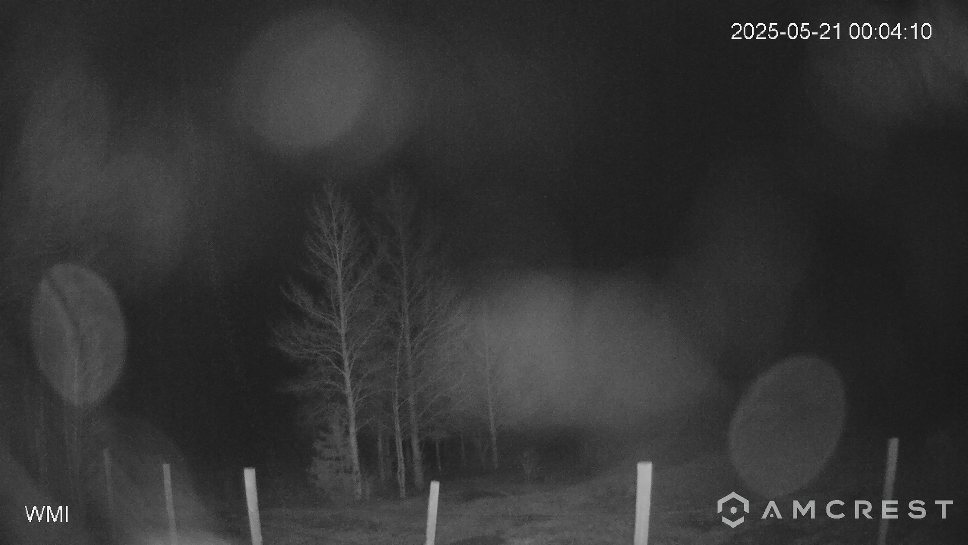 time-lapse frame, Never Summer Cam webcam