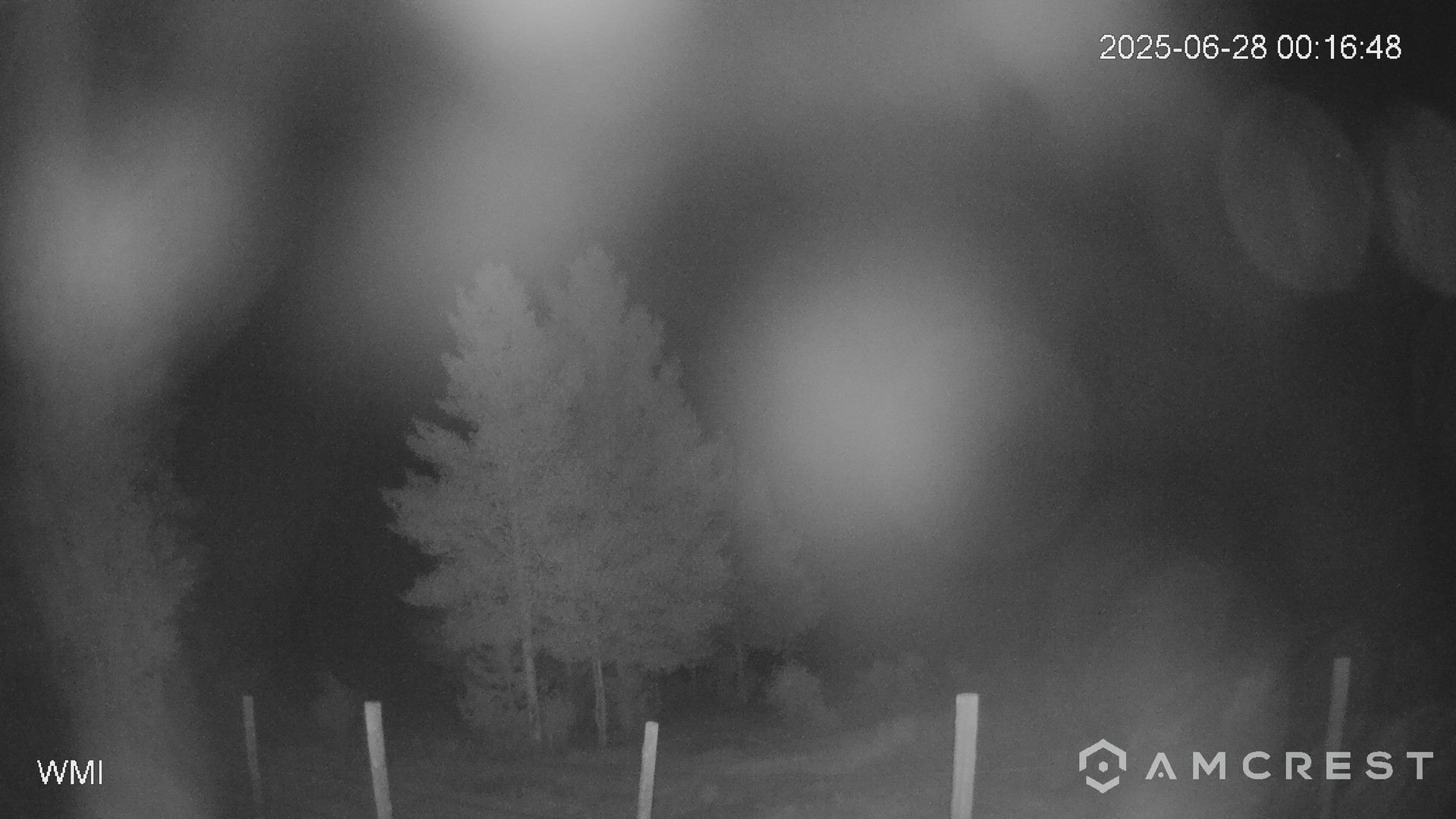 time-lapse frame, Never Summer Cam webcam