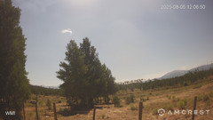 view from Never Summer Cam on 2025-08-05