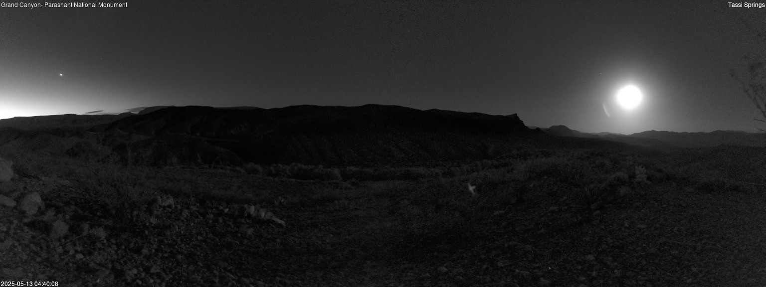 time-lapse frame, Tassi Springs webcam