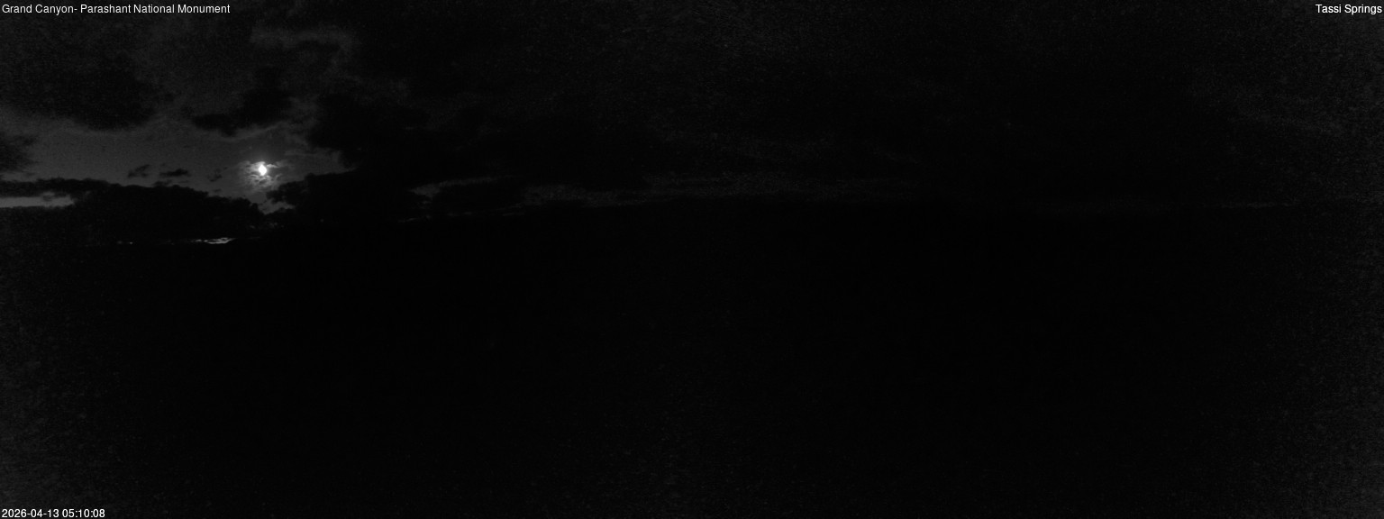 time-lapse frame, Tassi Springs webcam