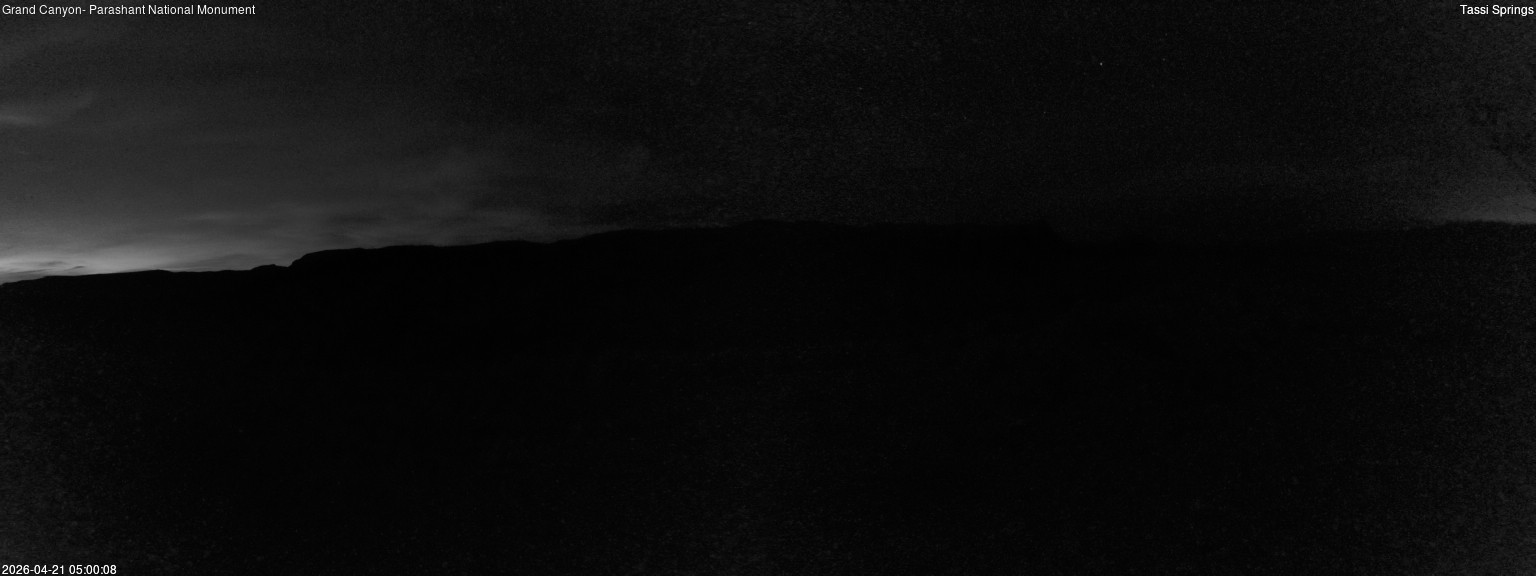 time-lapse frame, Tassi Springs webcam