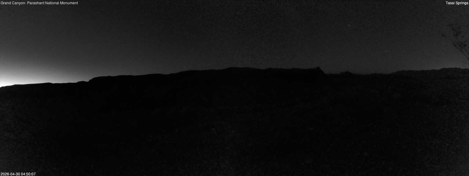 time-lapse frame, Tassi Springs webcam