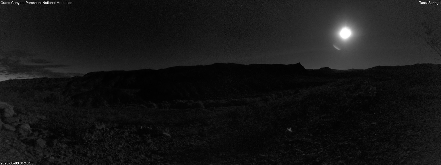 time-lapse frame, Tassi Springs webcam