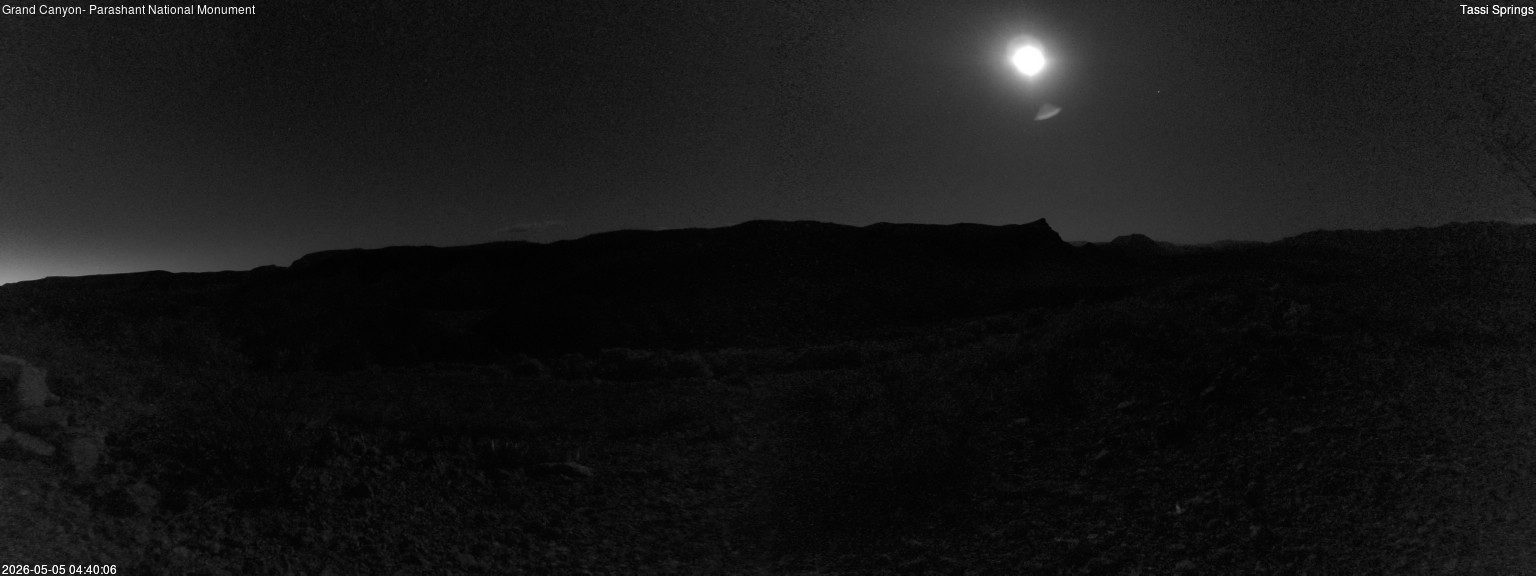time-lapse frame, Tassi Springs webcam