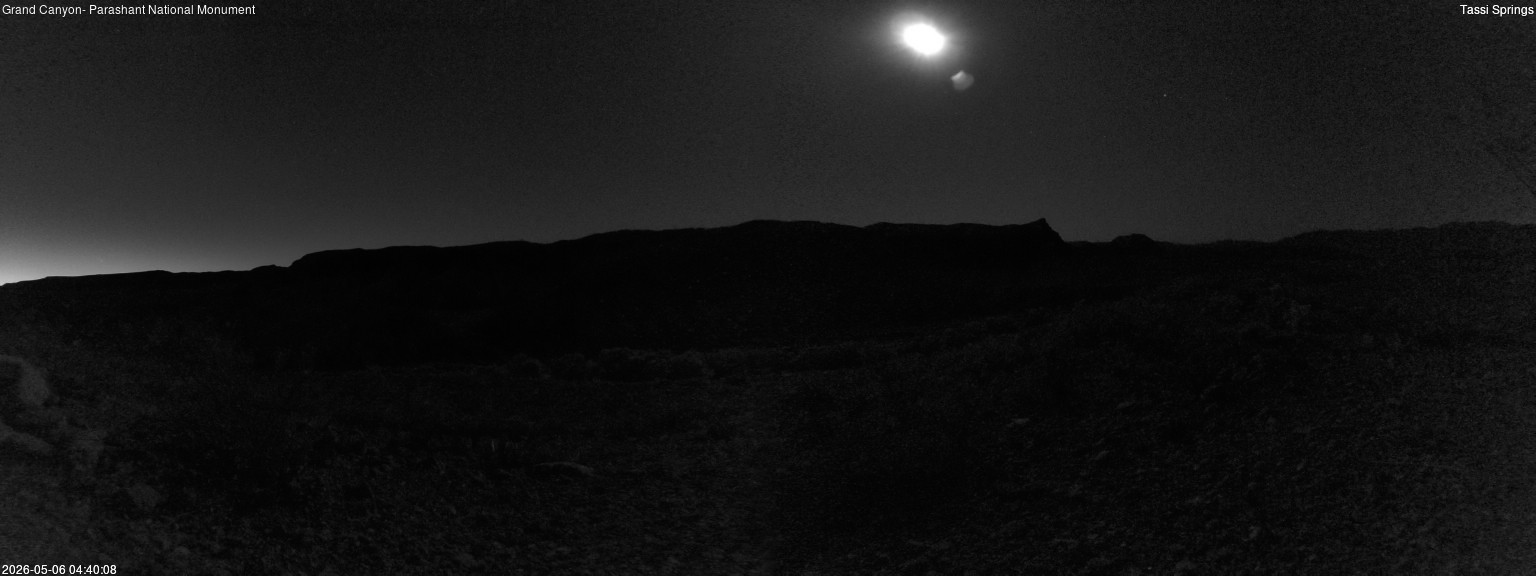 time-lapse frame, Tassi Springs webcam