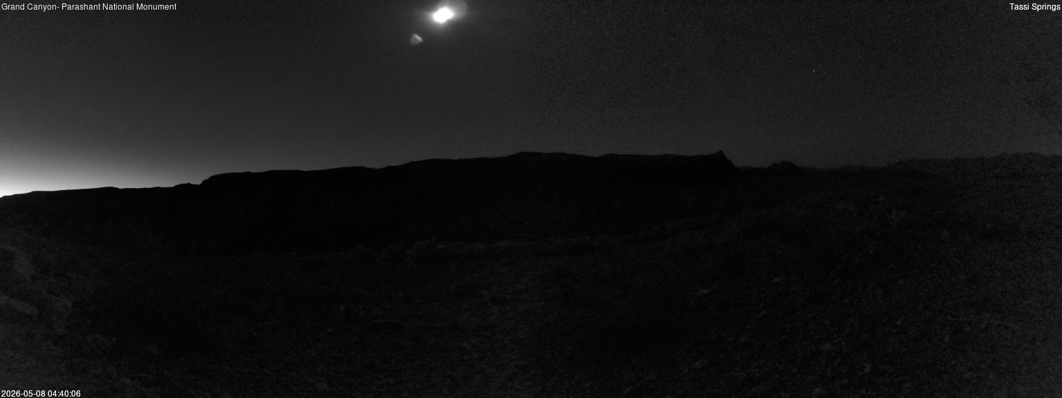 time-lapse frame, Tassi Springs webcam