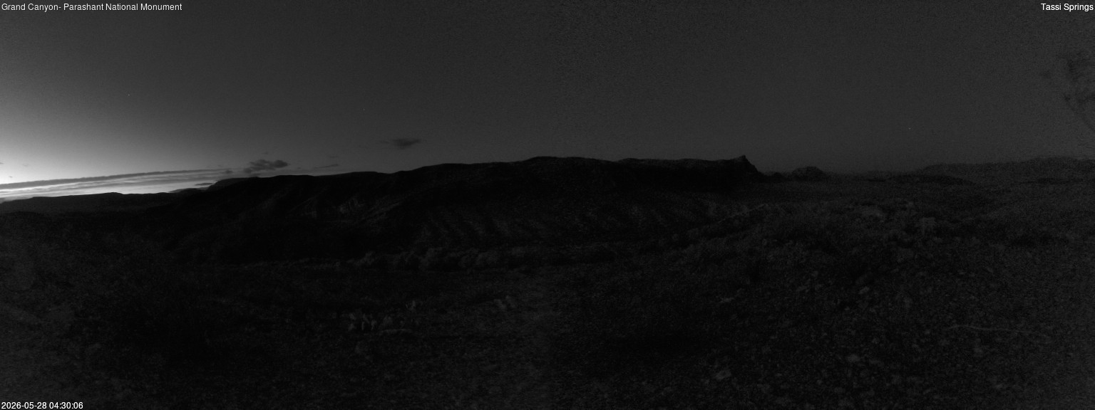 time-lapse frame, Tassi Springs webcam